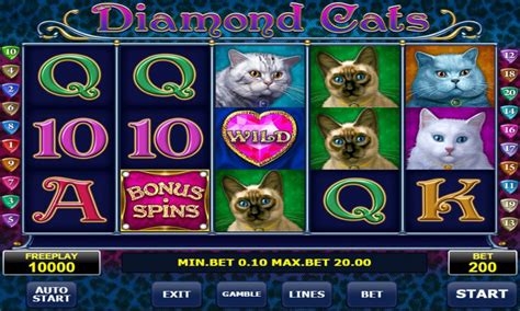 casino casino diamond cats
